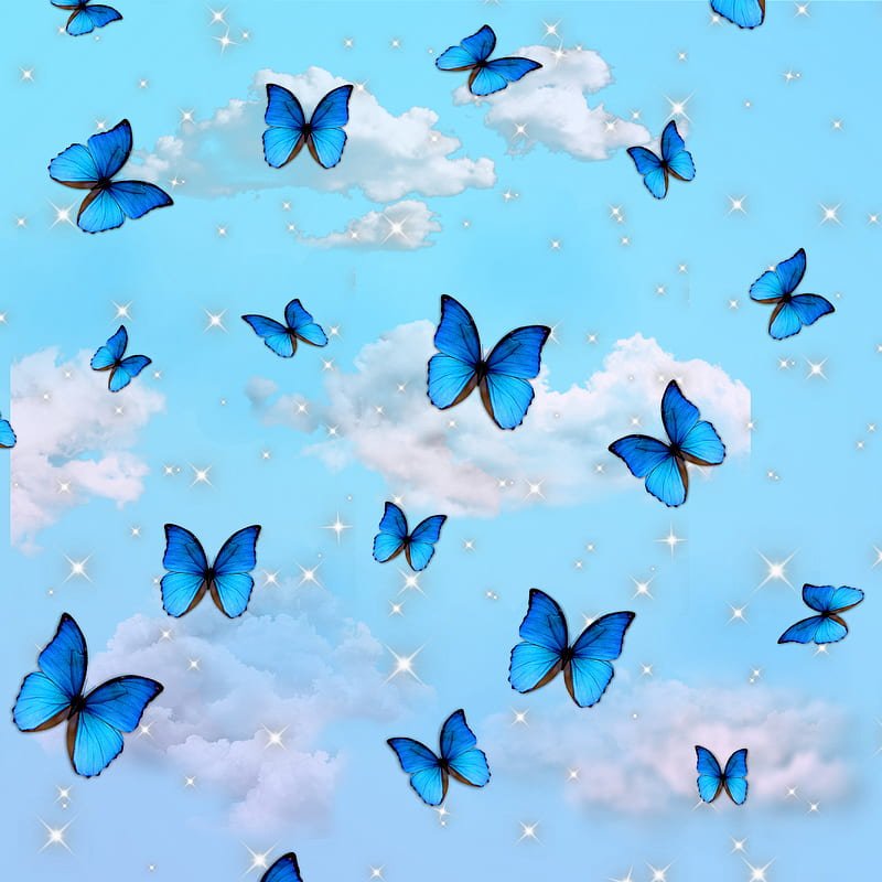 Blue Butterfly Aesthetic