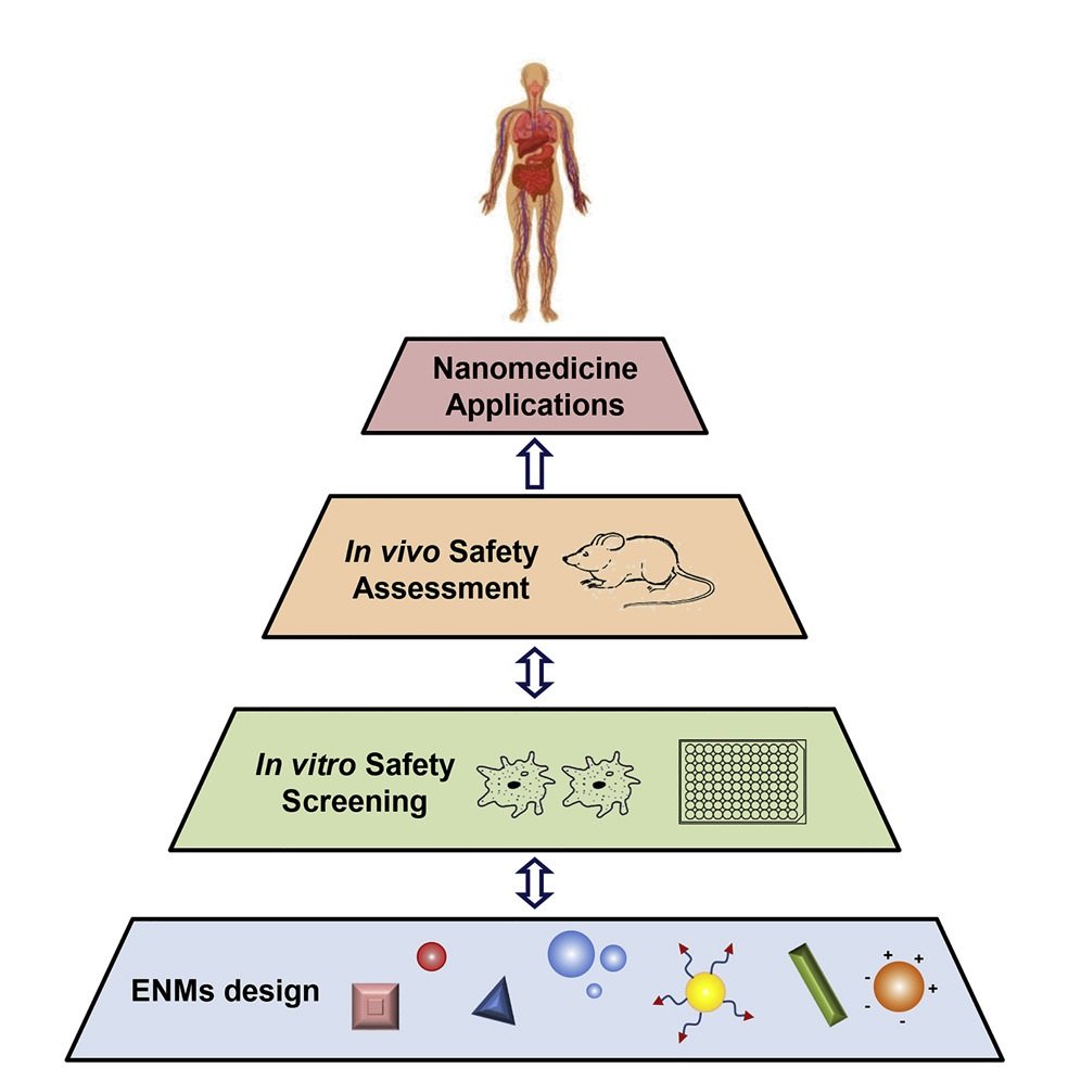 Nanomedicine – Challenges and Perspectives